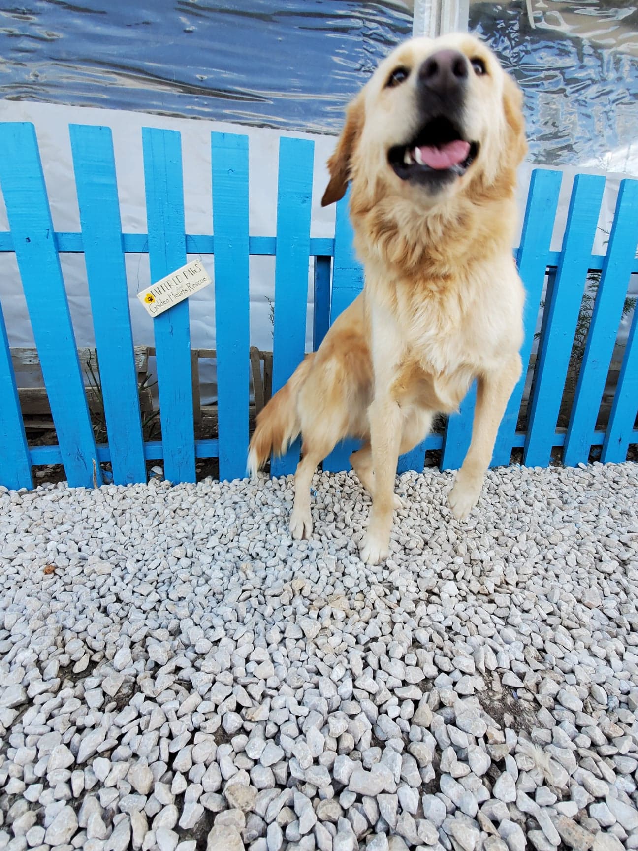 Ruthie (fka Parsley) 